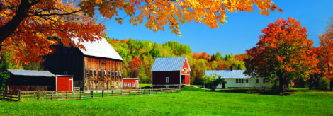 Security and Monitoring Systems for the Homestead Image